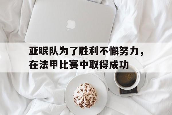 亚眠队为了胜利不懈努力，在法甲比赛中取得成功