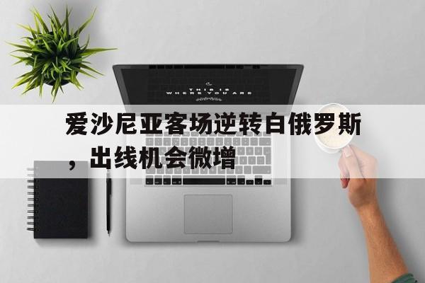 爱沙尼亚客场逆转白俄罗斯，出线机会微增